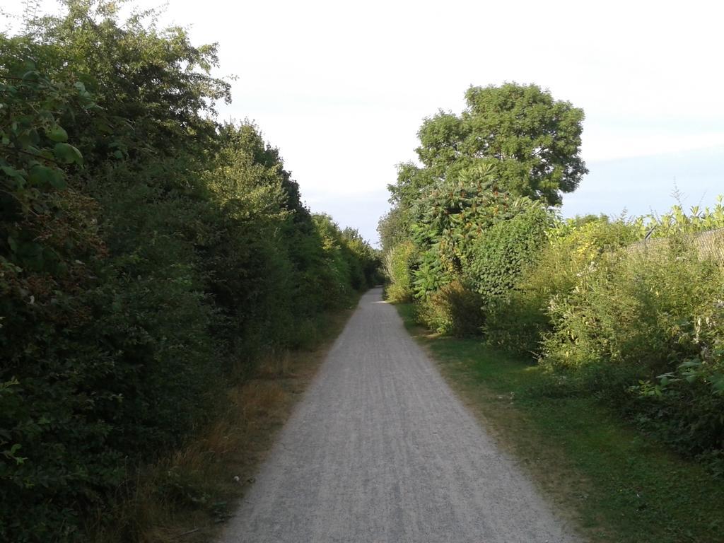 B&B Am See Koeln - Privatzimmer חדר תמונה