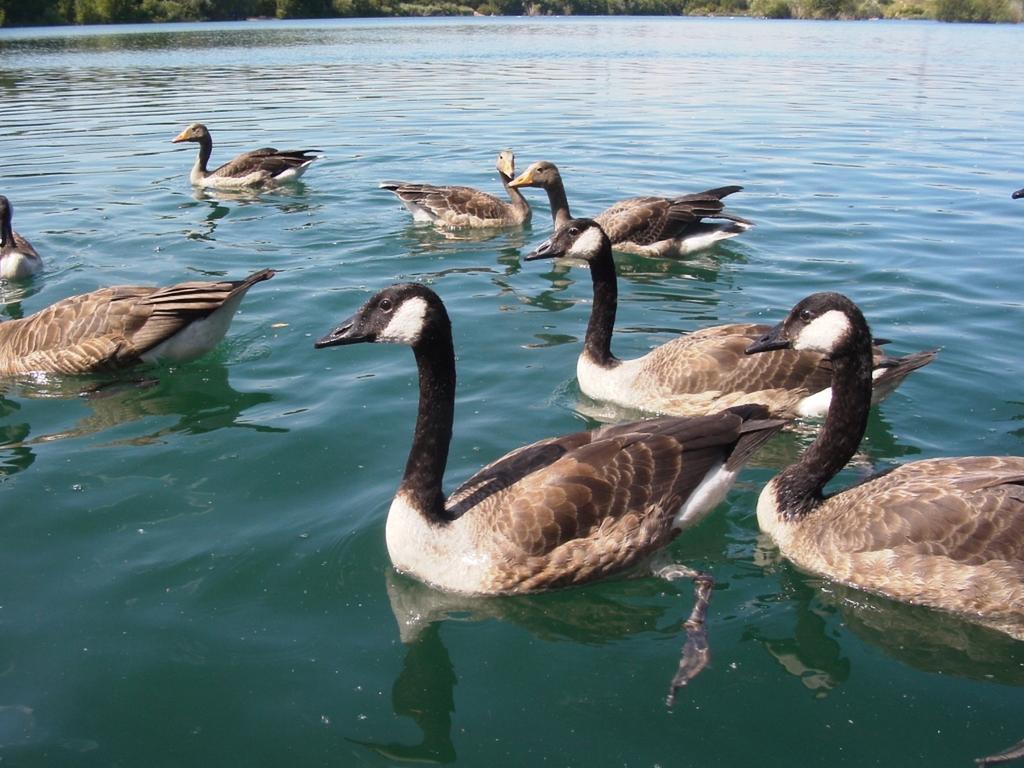 B&B Am See Koeln - Privatzimmer חדר תמונה